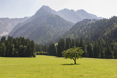 Scenic view of green landscape and mountains against clear sky