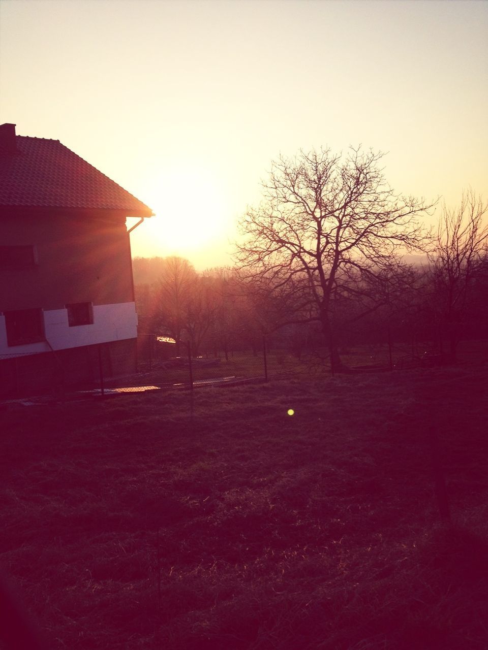 sunset, tree, sun, building exterior, clear sky, built structure, silhouette, field, architecture, bare tree, landscape, sky, tranquility, tranquil scene, house, nature, orange color, scenics, sunlight, no people