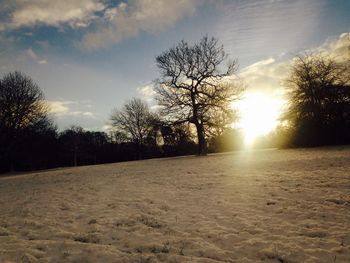 Bare trees on landscape against sky during sunset