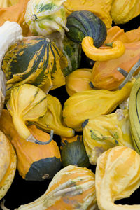 Full frame shot of pumpkins for sale at market stall