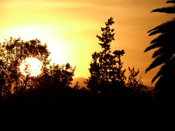 Silhouette trees against sky during sunset