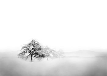 Bare tree on snow covered landscape against sky