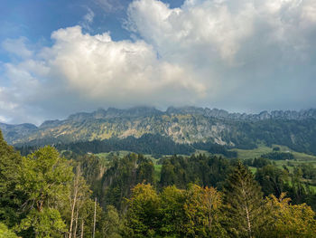 Scenic view of forest against sky