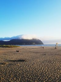 Scenic view of beach against clear blue sky