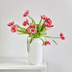 Close-up of pink flowers in vase against white background