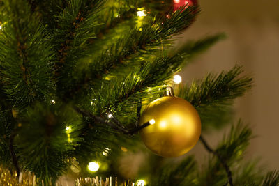 Close-up of illuminated christmas tree