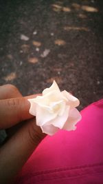 Close-up of cropped hand