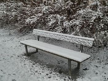 bench