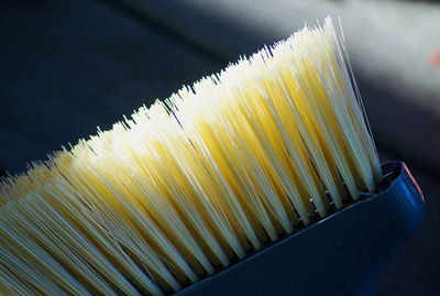 High angle view of  brush in sunlight 