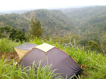 Scenic view of land against trees in forest