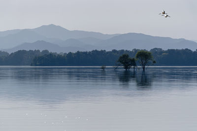 Ink color scenery of lake and sky