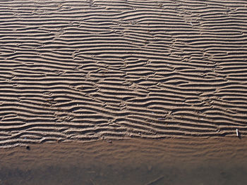 Beach background with wavy pattered surface on wet sand and shadow at the edge of the sea