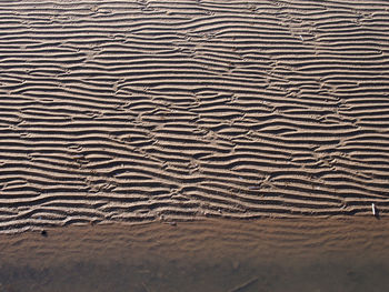 Full frame shot of sand dune