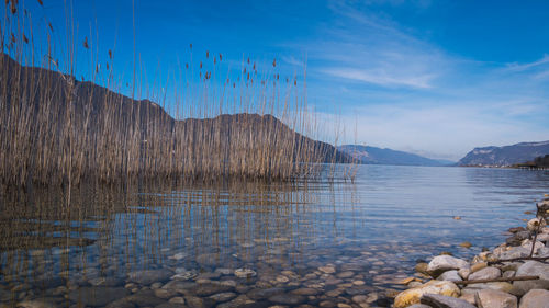 Scenic view of lake against sky