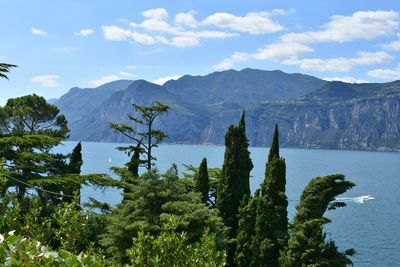 Scenic view of trees and mountains against sky