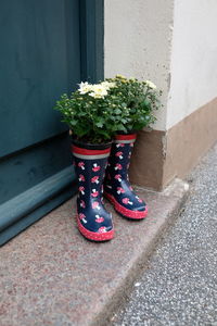 Two rubber boots standing in a doorframe in the street filled with flowers