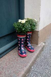 Low section of person walking on street