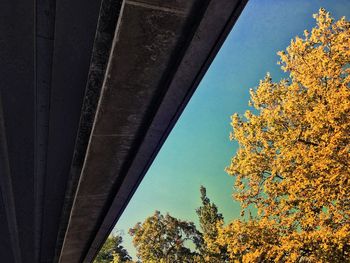 Low angle view of trees against clear blue sky