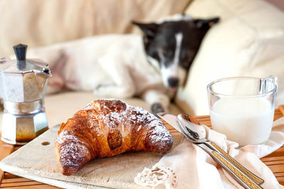 Close-up of breakfast served on table