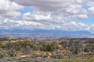 Scenic view of landscape against sky