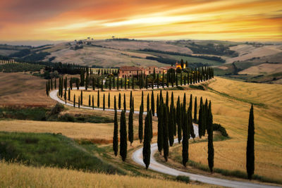 People walking on field against sky during sunset