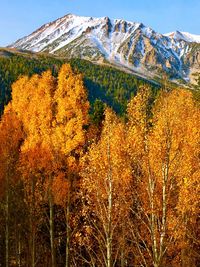 Scenic view of snow covered mountains against sky