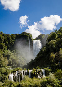 Scenic view of waterfall in forest