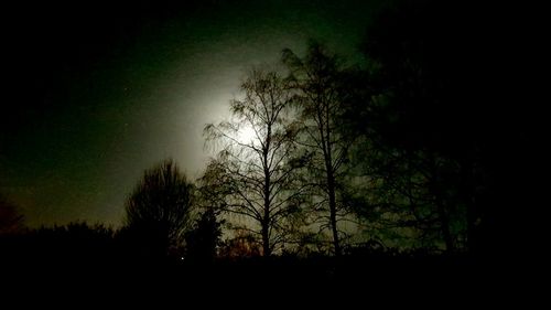 Low angle view of silhouette trees against sky at night