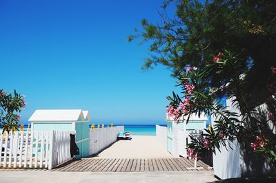 Trees by sea against clear blue sky