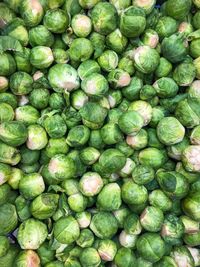 Top view of fresh brussels sprouts