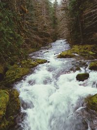 River flowing through rocks