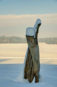 Close-up of snow on landscape against sky