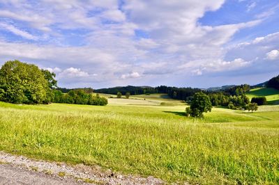 Scenic view of field against sky