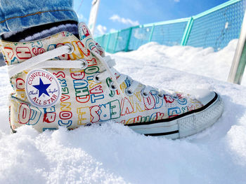 Low section of person on snow covered land