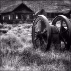 Car on grassy field