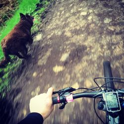 Cyclist with dog running at park