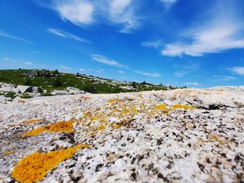 Surface level of barren landscape against blue sky