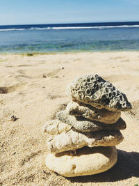 Close-up of shells on sand at beach against sky