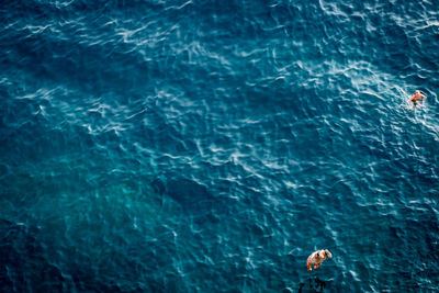 Swimming pool in sea