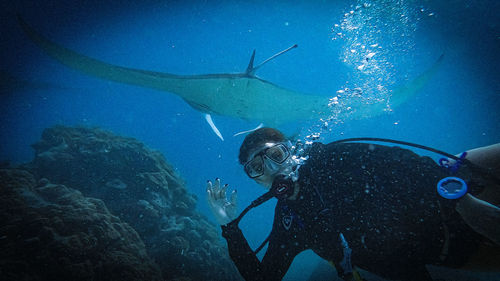 Manta ray maledives 