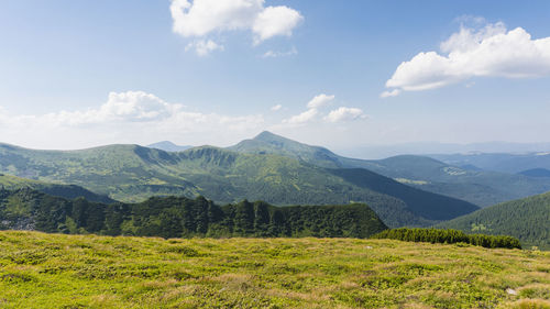 Scenic view of landscape against sky