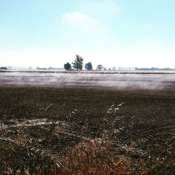 Scenic view of field against sky