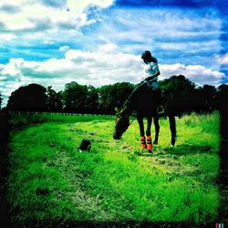 Rear view of man standing on grassy field