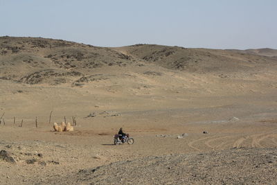 A man on motorcycle and a bactrian camel in the lonely gobi desert, mongolia. 
