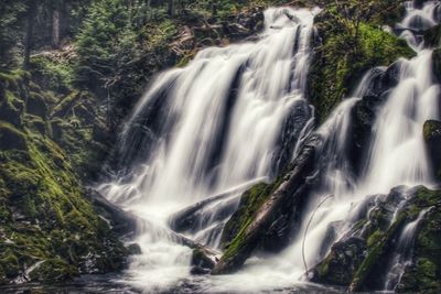 Scenic view of waterfall in forest