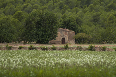 Built structure on field against trees