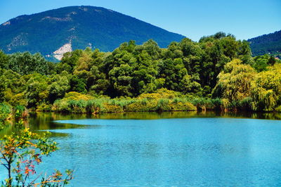 Scenic view of lake by trees against sky