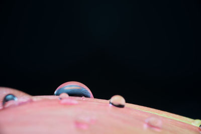 Low angle view of water against black background