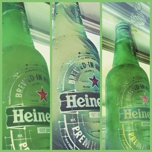 Close-up of green bottles