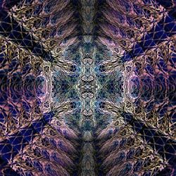 Full frame shot of leaf